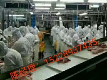 出國勞務 抓住國外雇主直招機遇，建筑工與工廠普工月薪高達3.5萬，天津移民與建筑工程新選擇