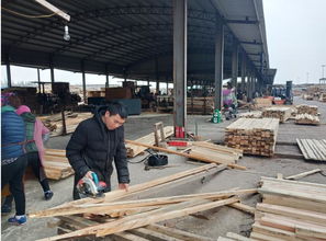 太倉建筑木方加工廠 建筑工程木材批發(fā)的首選基地